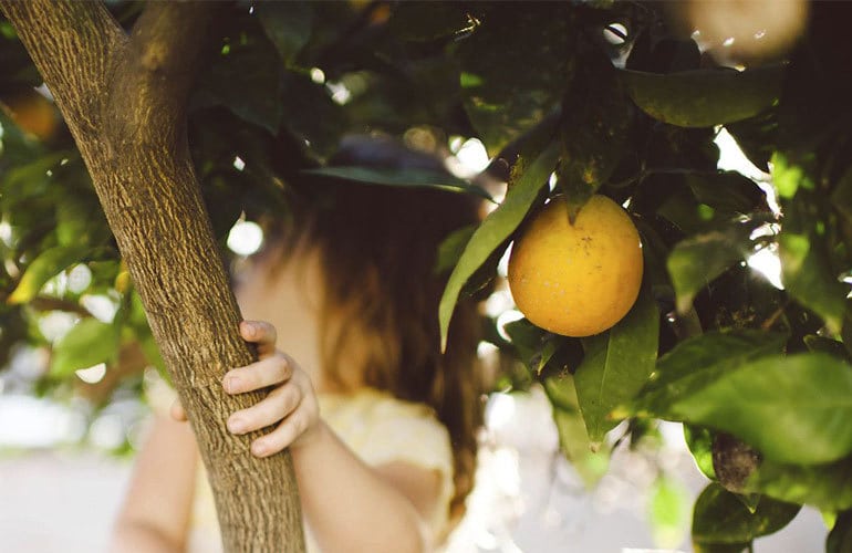 Girl under fruit tree grasping trunk