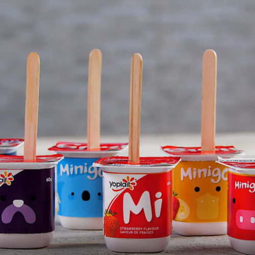 Popsicle sticks standing in Yoplait Minigo cups